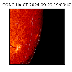 gong - 2024-09-29T19:00:42