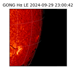 gong - 2024-09-29T23:00:42