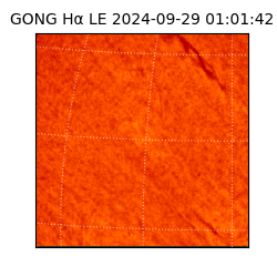 gong - 2024-09-29T01:01:42