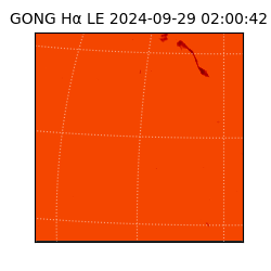 gong - 2024-09-29T02:00:42