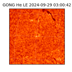 gong - 2024-09-29T03:00:42