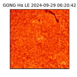 gong - 2024-09-29T06:20:42