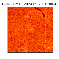 gong - 2024-09-29T07:00:42