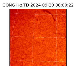 gong - 2024-09-29T08:00:22