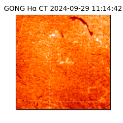 gong - 2024-09-29T11:14:42