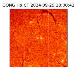 gong - 2024-09-29T18:00:42