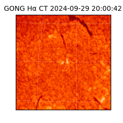 gong - 2024-09-29T20:00:42