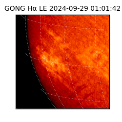 gong - 2024-09-29T01:01:42