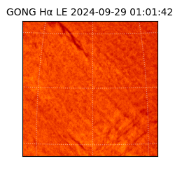 gong - 2024-09-29T01:01:42