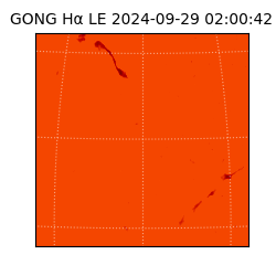 gong - 2024-09-29T02:00:42