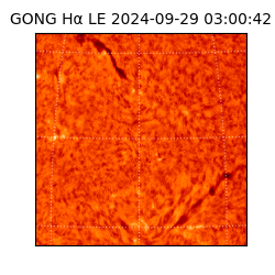 gong - 2024-09-29T03:00:42