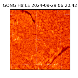 gong - 2024-09-29T06:20:42