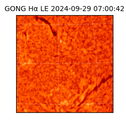 gong - 2024-09-29T07:00:42