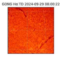 gong - 2024-09-29T08:00:22