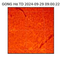 gong - 2024-09-29T09:00:22