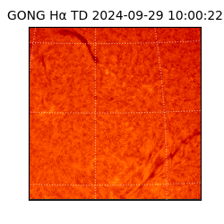 gong - 2024-09-29T10:00:22