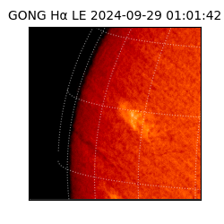 gong - 2024-09-29T01:01:42