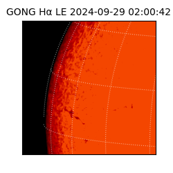 gong - 2024-09-29T02:00:42