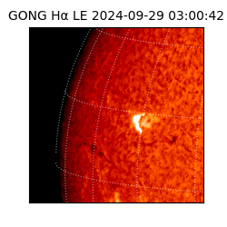 gong - 2024-09-29T03:00:42