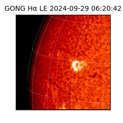 gong - 2024-09-29T06:20:42