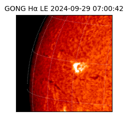 gong - 2024-09-29T07:00:42