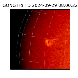 gong - 2024-09-29T08:00:22