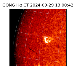 gong - 2024-09-29T13:00:42