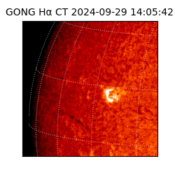 gong - 2024-09-29T14:05:42