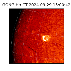 gong - 2024-09-29T15:00:42