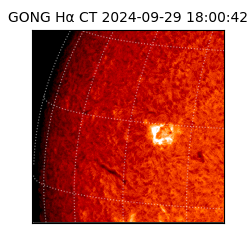 gong - 2024-09-29T18:00:42