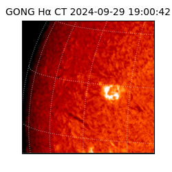 gong - 2024-09-29T19:00:42