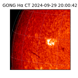 gong - 2024-09-29T20:00:42