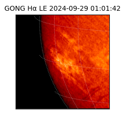 gong - 2024-09-29T01:01:42