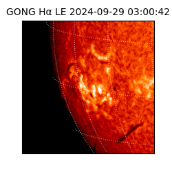 gong - 2024-09-29T03:00:42