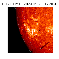 gong - 2024-09-29T06:20:42