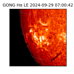 gong - 2024-09-29T07:00:42