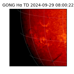 gong - 2024-09-29T08:00:22