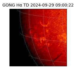 gong - 2024-09-29T09:00:22