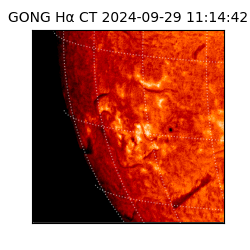 gong - 2024-09-29T11:14:42