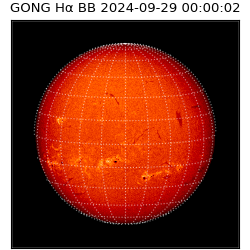 gong - 2024-09-29T00:00:02