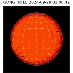 gong - 2024-09-29T02:00:42