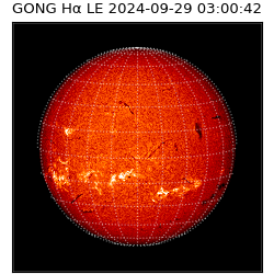 gong - 2024-09-29T03:00:42