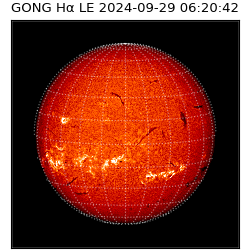 gong - 2024-09-29T06:20:42