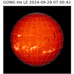 gong - 2024-09-29T07:00:42