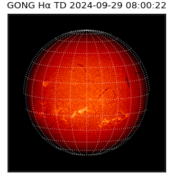 gong - 2024-09-29T08:00:22