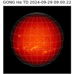 gong - 2024-09-29T09:00:22