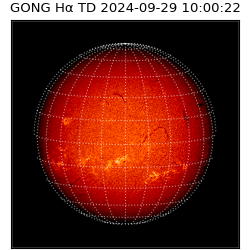 gong - 2024-09-29T10:00:22