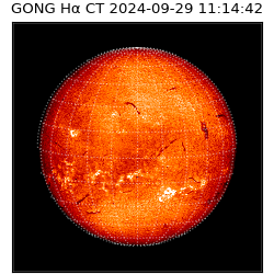 gong - 2024-09-29T11:14:42