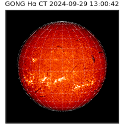 gong - 2024-09-29T13:00:42