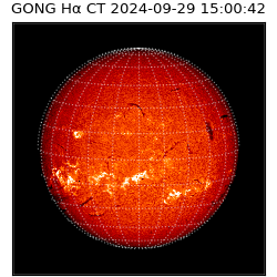 gong - 2024-09-29T15:00:42